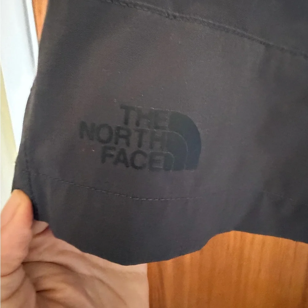 The North Face Men's Charcoal Flat Front Shorts